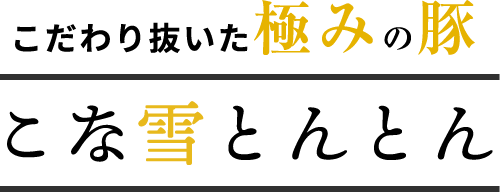 こな雪とんとん恵庭店